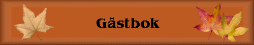 Gstbok