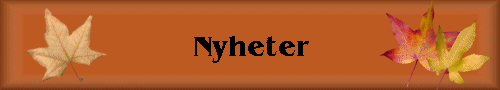 Nyheter