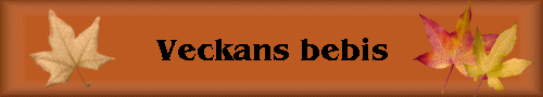 Veckans bebis