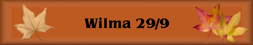 Wilma 29/9