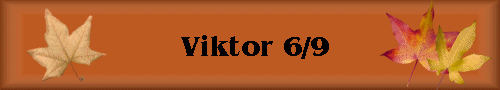 Viktor 6/9